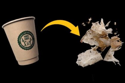 here’s-what-happens-when-‘compostable’-products-become-litter