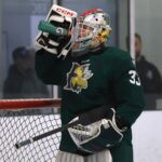 owen-bresson,-nick-cirka-work-to-fill-legendary-skates-in-halifax-mooseheads-goal:-‘i-think-we’ll-have-a-good-tandem-this-year’