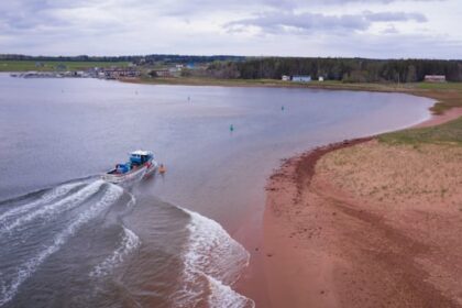 residents-will-soon-vote-on-name-change-for-community,-bay-on-pei.’s-north-shore