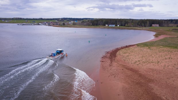 residents-will-soon-vote-on-name-change-for-community,-bay-on-pei.’s-north-shore
