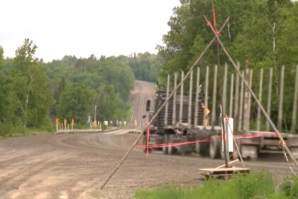quebec-premier-withdraws-controversial-bill-to-overhaul-the-forestry-industry
