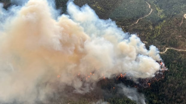 growing-wildfire-near-peachland,-bc.,-prompts-evacuation-order