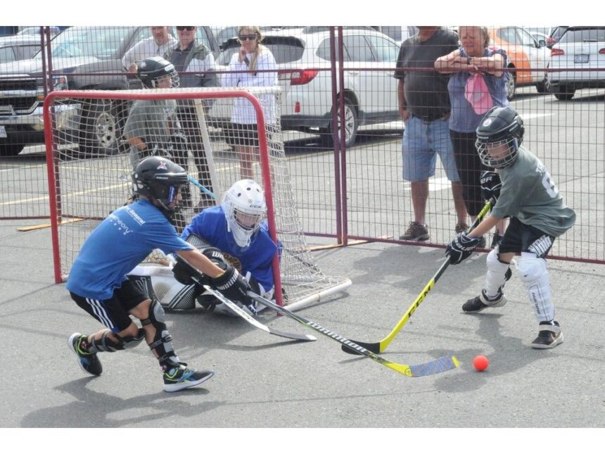 does-having-a-qmjhl-team-in-st.-johns-actually-advance-grassroots-hockey-in-nl?