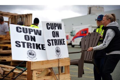 nl-municipal-election-mail-in-votes-‘in-limbo’-amid-untimely-canada-post-strike