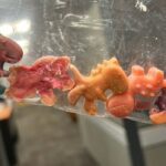 winnipeg-police-seize-more-than-$50k-worth-of-candy-shaped-fentanyl