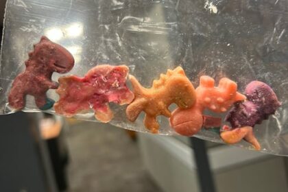 winnipeg-police-seize-more-than-$50k-worth-of-candy-shaped-fentanyl