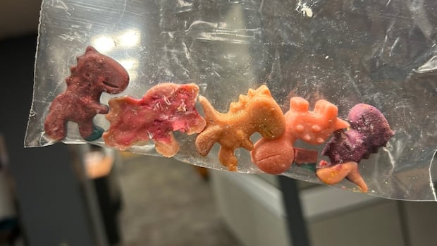 winnipeg-police-seize-more-than-$50k-worth-of-candy-shaped-fentanyl
