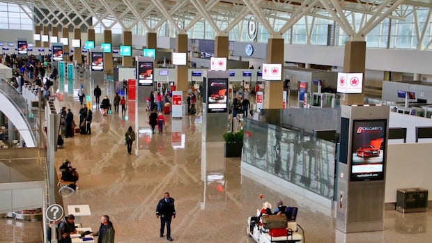 canadian-travellers,-airlines,-airports-could-be-hit-financially-if-pre-clearance-into-us.-lost,-says-expert