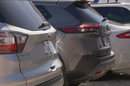 ns.-woman,-mla-call-on-province-to-end-‘double-taxation’-on-used-cars-sold-privately