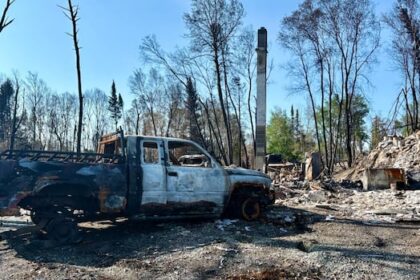 premier-makes-surprise-visit-to-denare-beach-to-discuss-wildfire-supports