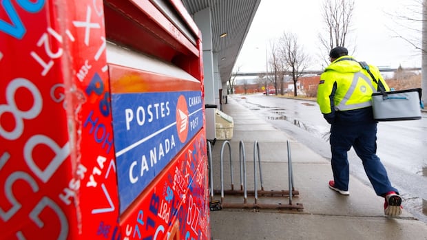 from-dog-licences-to-tax-payments,-here’s-how-the-canada-post-strike-affects-city-of-winnipeg-services