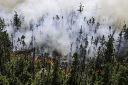 long-lake-wildfire-finally-deemed-under-control