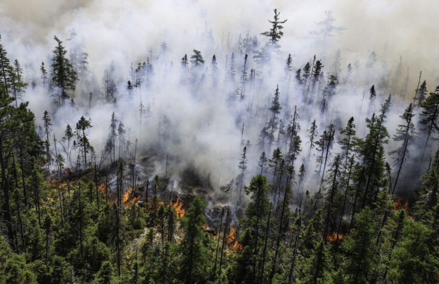 long-lake-wildfire-finally-deemed-under-control