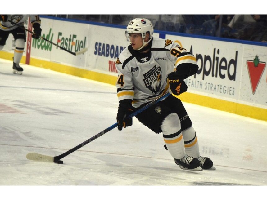 major-junior-hockey:-eagles-fall-to-wildcats-in-ot