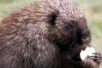 the-last-of-summer:-enjoy-these-photos-from-around-new-brunswick