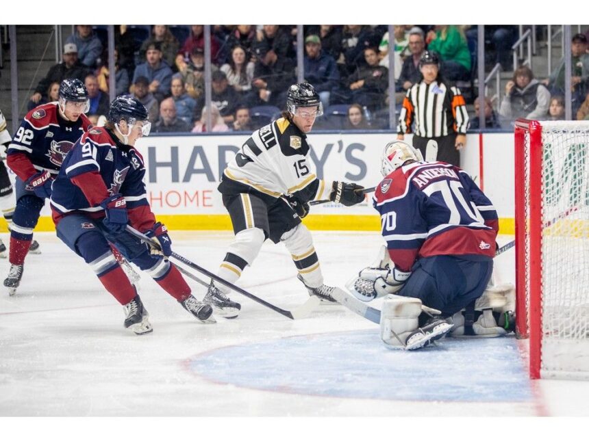 ross-campbells-late-third-period-goal-lifts-charlottetown-past-newfoundland-regiment