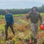 how-will-maritime-trees-fare-as-the-province-warms?-plant-them-down-south-and-find-out