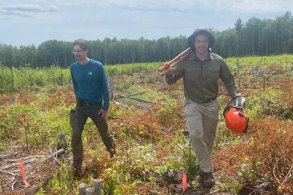 how-will-maritime-trees-fare-as-the-province-warms?-plant-them-down-south-and-find-out