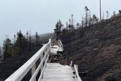 you-just-appreciate-things-a-little-more:-work-starts-on-western-bay-boardwalk-after-it-was-damaged-by-wildfire