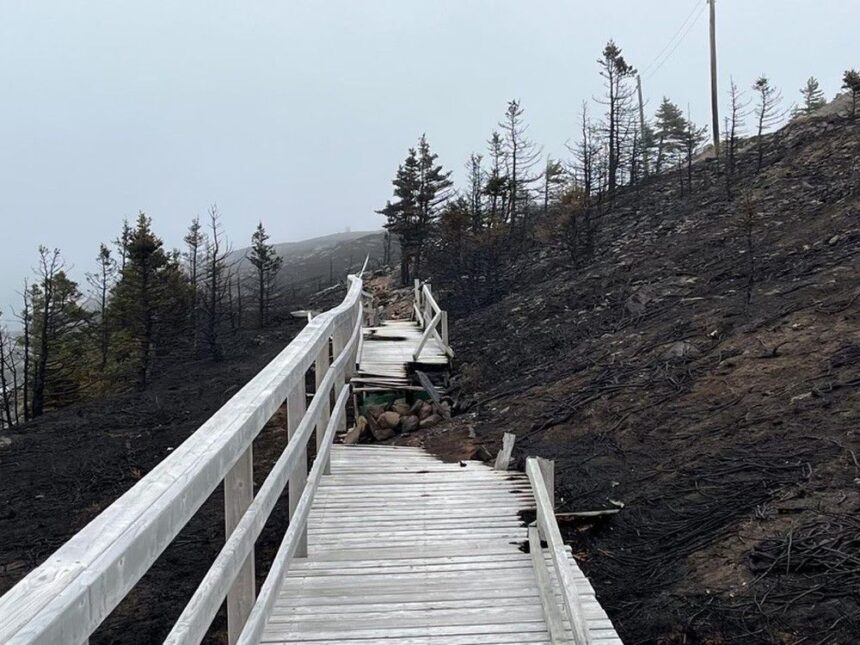 you-just-appreciate-things-a-little-more:-work-starts-on-western-bay-boardwalk-after-it-was-damaged-by-wildfire