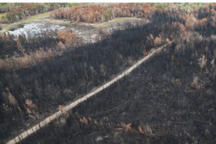 nsp-completes-work-along-thorne-road-due-to-long-lake-wildfire