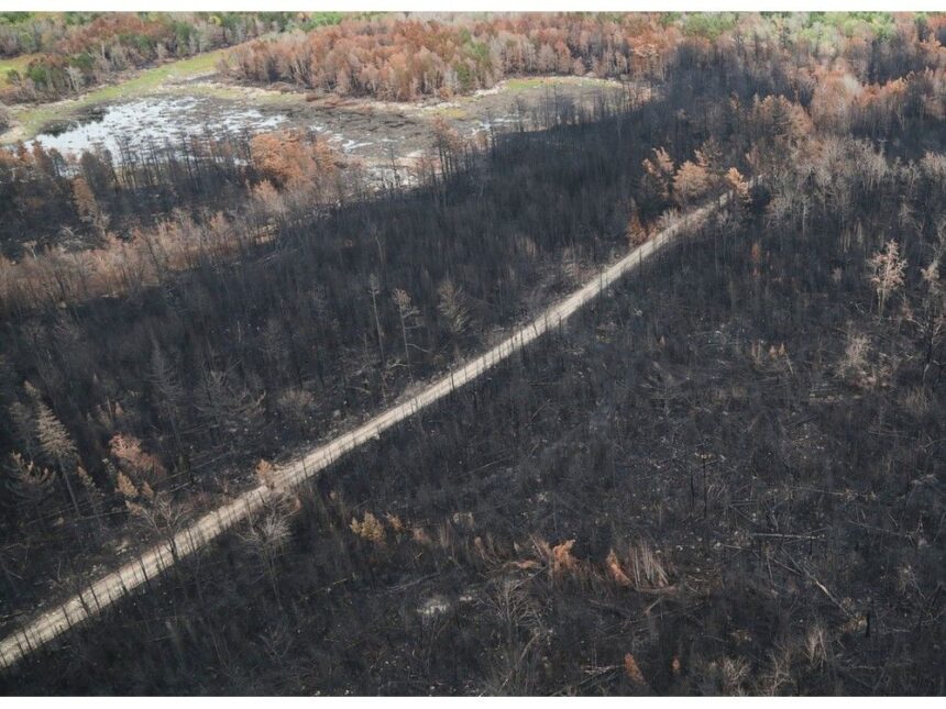 nsp-completes-work-along-thorne-road-due-to-long-lake-wildfire