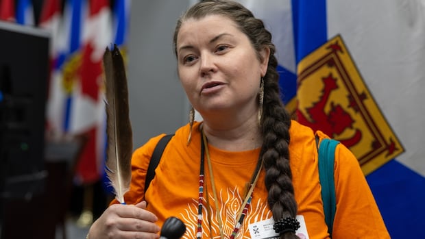 crown-lands-bill-would-criminalize-peaceful-protests,-critics-say