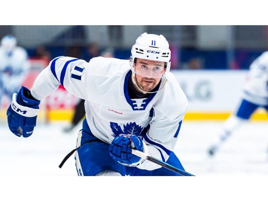 cape-bretons-logan-shaw,-cavan-fitzgerald-reassigned-from-nhl-training-camps,-ellis-remains-in-st.-louis