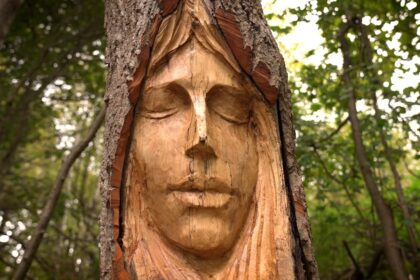take-a-walk-through-stratfords-fun-new-fairy-trail-thats-full-of-folklore-and-magic