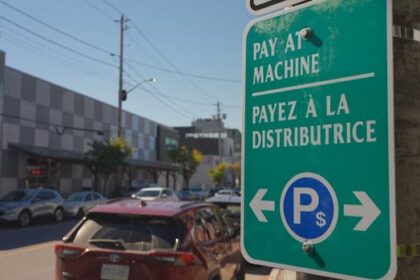 westboro-merchants-fear-new-parking-meters-are-driving-away-business