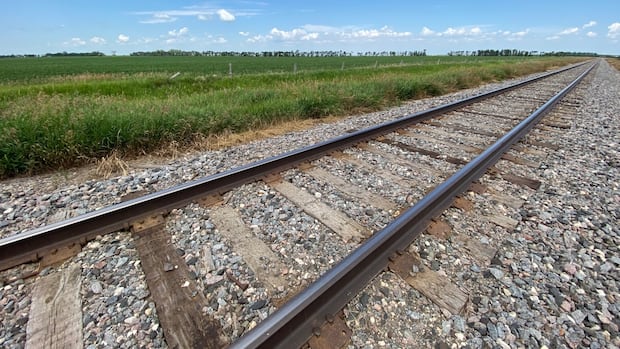 manitoba-pc-campaign-manager-named-in-briefing-note-about-rail-port-that-got-$18m-grant-before-election