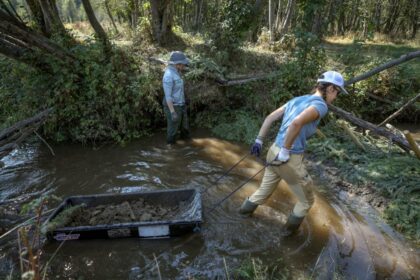 across-syilx-territories,-people-are-imitating-beavers-and-hoping-for-their-return