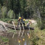 beavers-disappeared-from-syilx-territories.-could-imitating-their-habitats-bring-them-back-and-restore-their-wetlands?