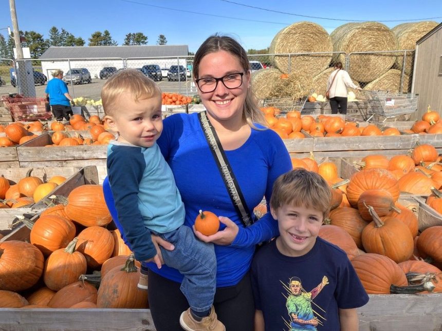 photo:-pumpkin-searching-season-in-cape-breton