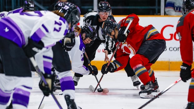 3rd-pwhl-season-to-begin-on-nov.-21