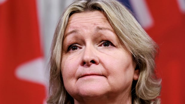 ontario-not-on-track-on-child-care-fee,-space-creation-goals:-auditor