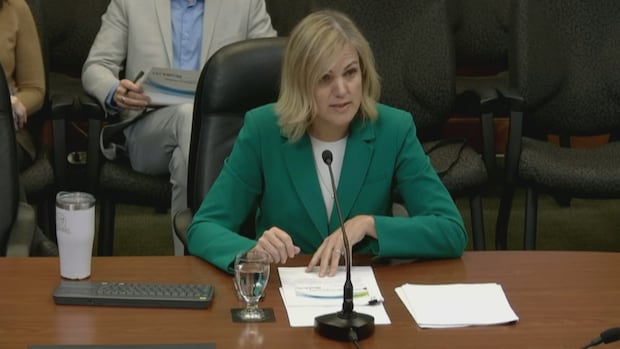 health-pei.-taking-‘very-aggressive-approach’-to-recruiting-more-staff,-ceo-tells-committee