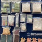 international-student-sentenced-to-11-years-for-trafficking-fentanyl-in-saskatoon