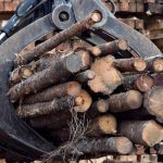 nb.-softwood-lumber-industry-braces-for-hit-from-donald-trump’s-latest-tariffs