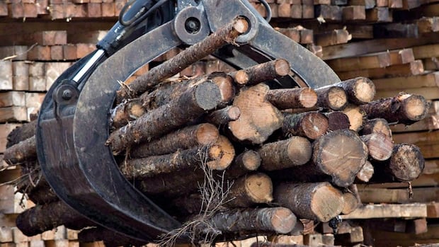 nb.-softwood-lumber-industry-braces-for-hit-from-donald-trump’s-latest-tariffs
