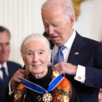 jane-goodall,-conservationist-renowned-for-chimpanzee-research-and-environmental-advocacy,-has-died