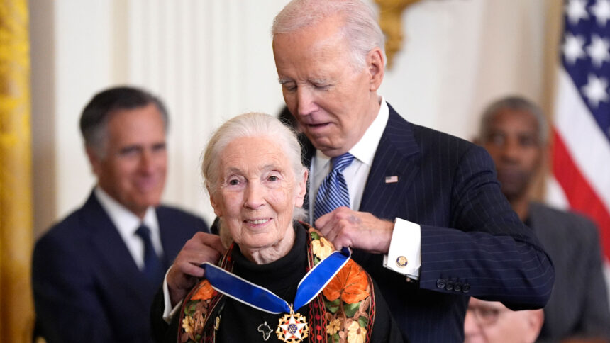 jane-goodall,-conservationist-renowned-for-chimpanzee-research-and-environmental-advocacy,-has-died