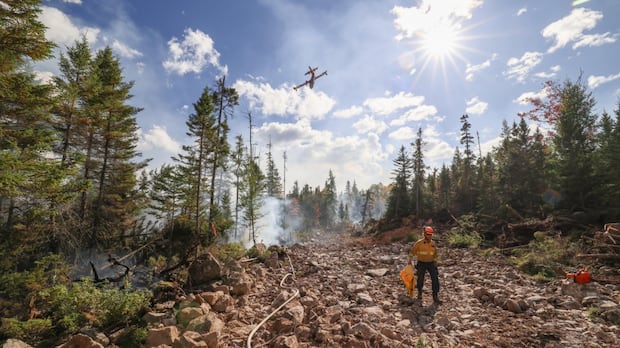 lake-george-wildfire-evacuees-cleared-to-return-home-soon