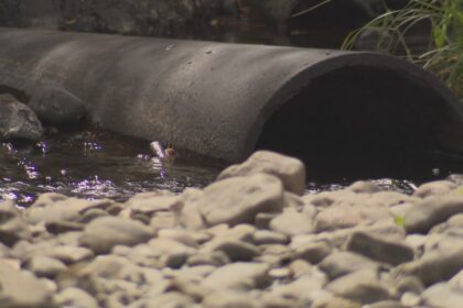 drought-conditions-persist-in-yarmouth-county
