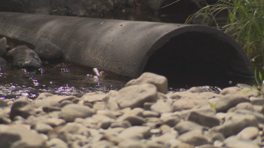 drought-conditions-persist-in-yarmouth-county