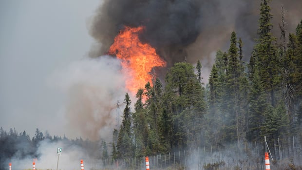 wildfire-investigation-answers-aren’t-coming-fast-enough,-opposition-mlas-say
