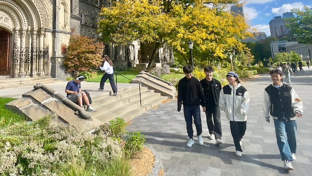 more-young-canadians-are-tapping-ai-for-learning,-even-when-concerned-about-it