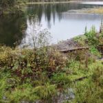 local-state-of-emergency-declared-over-risk-of-dam-bursting-in-bc.-interior