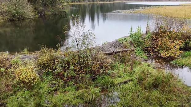 local-state-of-emergency-declared-over-risk-of-dam-bursting-in-bc.-interior