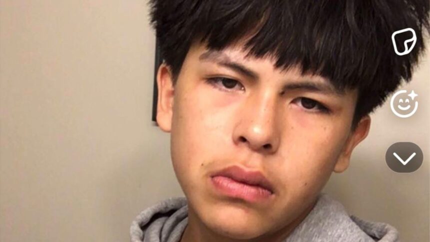 edmonton-police-say-case-of-14-year-old-samuel-bird-likely-criminal-in-nature